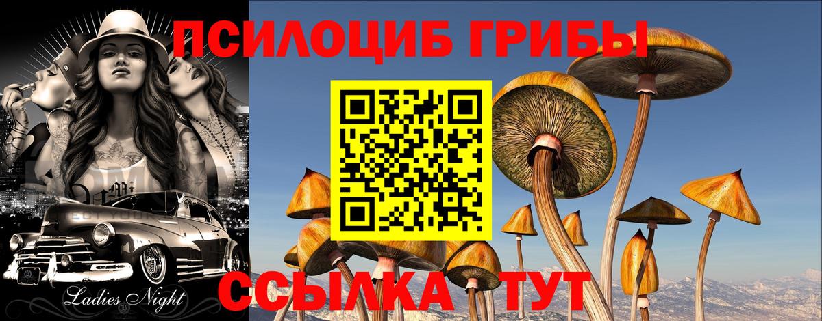 Галлюциногенные грибы прущие грибы  Вход с VPN  Киреевск 
