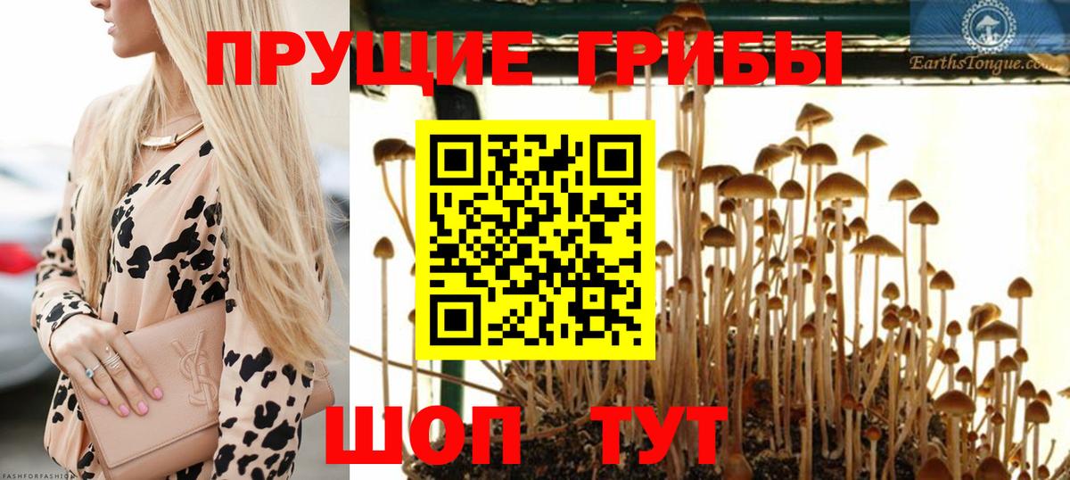 Галлюциногенные грибы ЛСД Киреевск